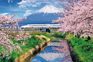 12\@yz@WO\[pY 1000s[X ƕxmRƐV?É 50×75cm 11-621s