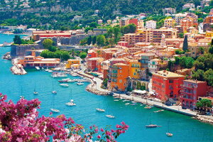 yz@WO\[pY 2016x[X[s[X 킵̃R[gE_W[?tX 50×75cm 22-508s