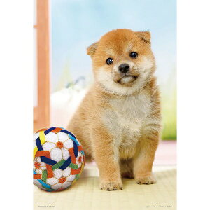 �y���������z�@�W�O�\�[�p�Y�� 300�s�[�X �܂�܂�Č� 26×38cm 300-191