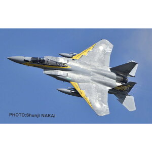 �y���������z�@�v���b�c 1/72 �q�󎩉q�� F-15J �C�[�O�� ������n�q���2014 ��306��s�� �S�[���f���C�[�O���X ���ʓh���@ �v�����f�� AC-69