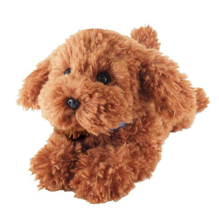 楽天市場 送料無料 ひざわんこ トイプードル ブラウン ぬいぐるみ 犬 動物 アニマル 全長37cm トイスタジアム1号店