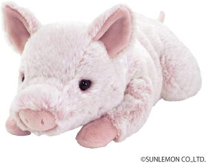 yz@ЂԂ ʂ S@S40cm@P-7282@ʂ  Aj}@