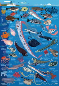 �y���������z�@�W�O�\�[�p�Y�� 100���[�W�s�[�X �[�C�����}�� ���[200m�`1000m 26×38cm 26-807