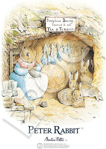 yz@WO\[pY 216X[s[X A[g[NX Iu rAgNXE|^[s[^[̂3o 18.2×25.7cm 04-021