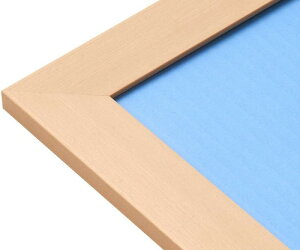 �y���������z�@�W�O�\�[�p�Y���p �t���b�g�p�l��031C �i�`�������N���A�[ 26×38cm NTP031C�@�y���b�s���O�s�z