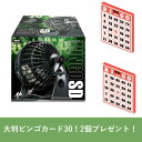★【大判ビンゴカード30！2個プレゼント！：送料無料】　ビンゴ　スタンダード