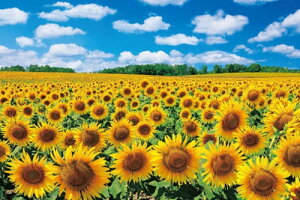 yz@WO\[pY 1000s[X zɋPЂ܂̗[kC 50×75cm 09-029s