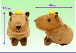 yz@̂ققJsoST ҂Mq ʂ 13cm Mtg 703799