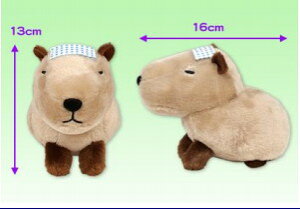 yz@̂ققJsoST т΂̂Ăʂ ʂ 13cm Mtg