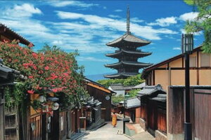 yz@WO\[pY 2016x[X[s[X {i Sg炭̓|s 50×75cm 22-121s