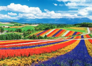 yz@WO\[pY 2000X[p[X[s[X {i F̎lGʂ̋u|kC 38×53cm 54-240