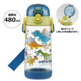 【送料無料】　水筒 500ml ディノサウルス ピクチャー ワンプッシュ プラスチック製 子供用 男の子 PDDR5