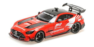 yz@MINICHAMPS 1/18 ZfX-AMG GT ubNV[Y tH[~1 Z[teB[J[ 2024 i_CLXg~jJ[ 110032090