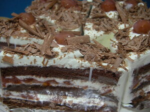 V@cx_[ELbVEgeiƁj15cm①