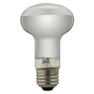 YAZAWA 10Zbg td RF100110V38WLX10