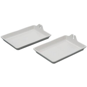 X}CLbY Ȃɂ̃GW\̋M AYS-01