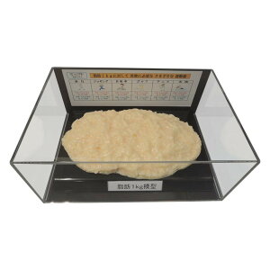 b͌^tBMAP[X 1kg IP-978