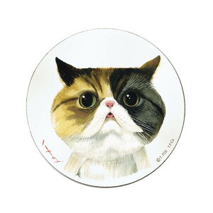 [p[   ؐEhA[g (LTCY) IT-01515