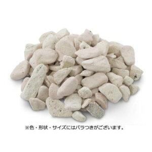 NXstyle K`bv@A[XtF[o[@pXe~bNX AF-P2 20kg@9900743