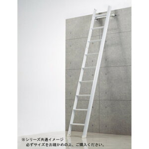 tg~pfUC͂@J[m_[@LML1.0-26