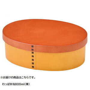 ZgNtg ϕٓ 800 I SK-0007