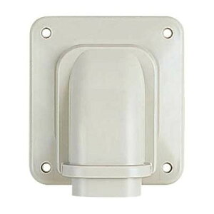 Oh SANEI σJo[ R5462