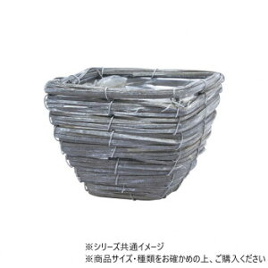 MHN[XNGAS OC@7700038GY