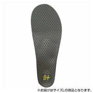 ホシノ インソール Flying Foot Hoshino Insole B+VC25M Variable Control 25M L