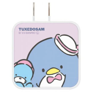 �T�����I USB/USBType-C AC�A�_�v�^ �^�L�V�[�h�T�� SANG-271TX