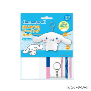  TI ͂߂Ẵ\[COLbg@Vi[