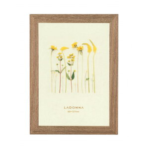 hi tHgt[ ʐ^ AVANTI AoeB@DF53-L-BR