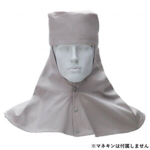 Ka 10017 nږXq LLTCY O[(7) SOWA