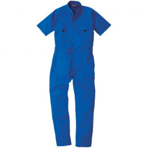 Ka 9007 Ȃ 3LTCY u[(8) SOWA