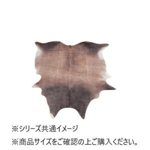 tFCNJEU[F 77x100cm uGSCD1009002v