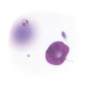 { ̖ I() M 38572
