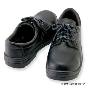 ACgX 59811 Z[teBV[Y(E^ZCq)(jp) ubN 23.5cm