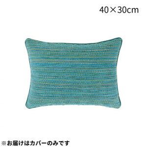 川島織物セルコン ガラパゴス ピロークッションカバー 40×30cm LL1318 BG ブルーグリーン