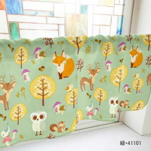 JtFJ[e H̐X 1000×450mm@΁E41101