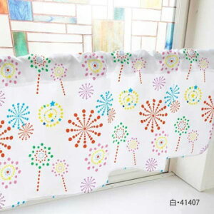 JtFJ[e ԉ 1000×450mm@E41407