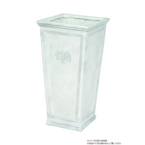 cY XNGAOtHXg White 3755