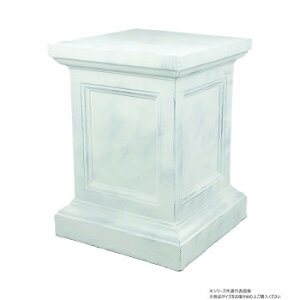 cY XNGAR White 3763