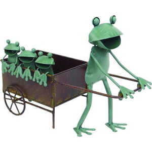 ���c���Y�� �J�G�� �q�A��J�[�g 4906