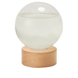 JY Fun Science Xg[OX h[ 333-275