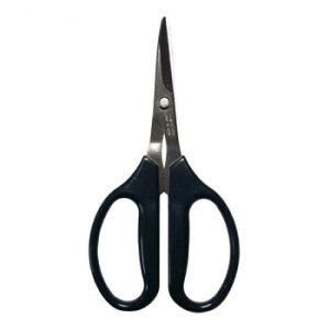  mق͂ NtgnT~ 160mm 893