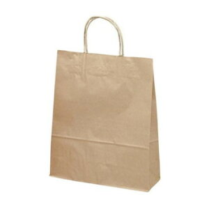 ^J@񂰑 N 260×100×310 50P@50-5101@50