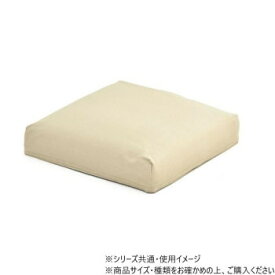 B.Bファニシング infinite　背と座　クッションカバー キャンバスベージュ IFSF0307CABEG