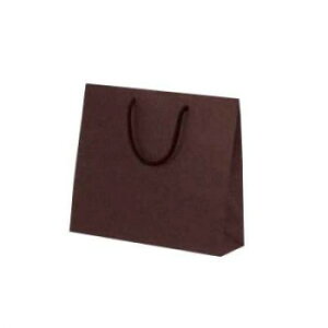 カラークラフト手提袋 T-6 ブラウン 1052 10枚