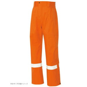 ACgX SV^tN^[pc(jp) IW 063 S 56304