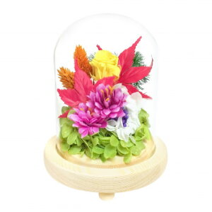 p()@KXh[AWg@vU[uht[@gt(悤)@C38610