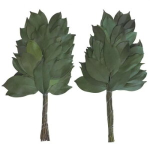 vU[uh (32cm) vU[uh SC-80690